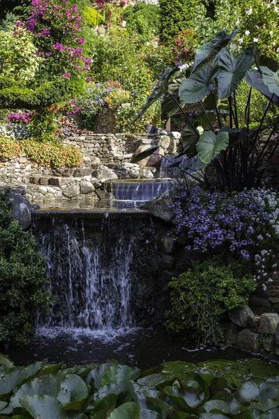 Blomster og fossefall i en hage i Holland – stockfoto