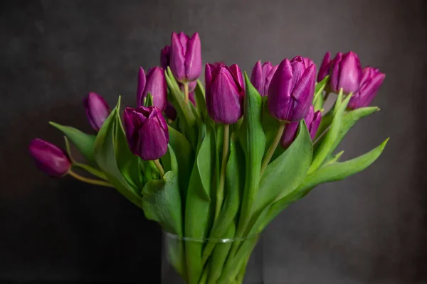 Un bouquet di tulipani viola olandesi in un vaso — Foto Stock