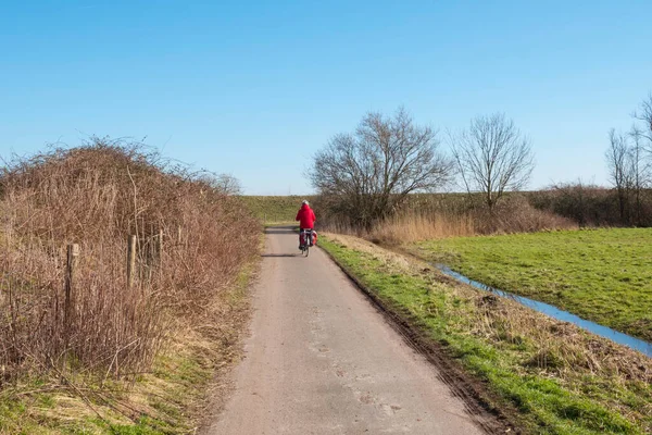 Γυναίκα σε ένα ποδήλατο σε Holland στην ολλανδική φύση το χειμώνα — Φωτογραφία Αρχείου