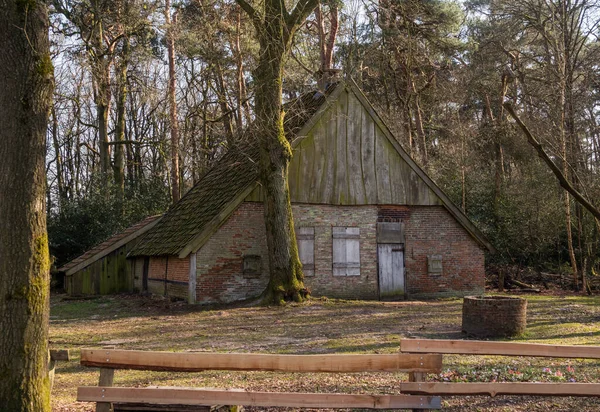 Oude schuur in het bos in Nederland tijdens de winter — Stockfoto
