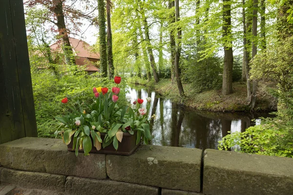 Planter filled with red and yellow tulips on a wall on the water with a forest — Stock Photo, Image