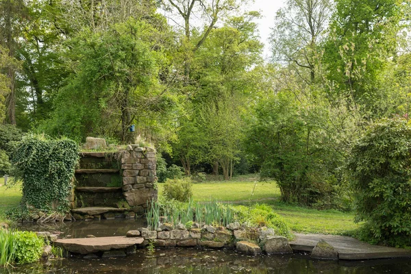 Grande jardim inglês com lagoa, pedras de cachoeira e muitos arbustos verdes — Fotografia de Stock