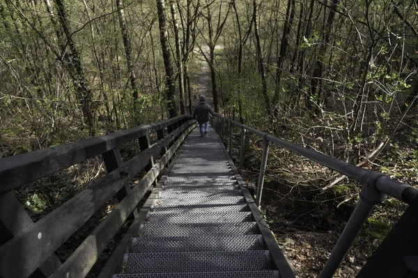 Mujer adulta camina por una gran escalera de metal en el bosque — Foto de Stock