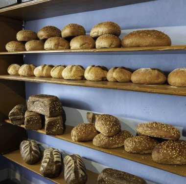 Beyaz ekmek, kahverengi ekmek ve tam teşekküllü ekmek gibi fırının raflarındaki ekmek türleri