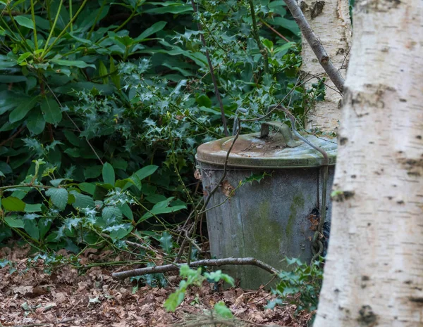 Vieille Poubelle Zinc Pour Les Déchets Derrière Bouleau Dans Forêt — Photo