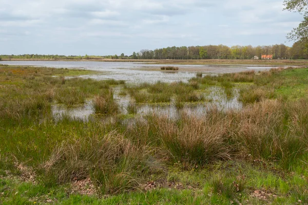 以云彩为背景的荷兰沼泽自然保护区泥炭水土 — 图库照片