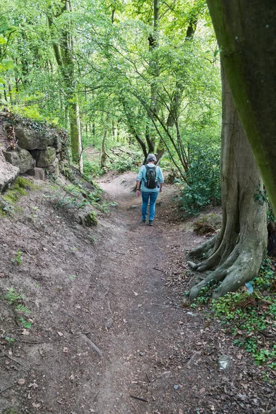 Mujer Con Mochila Caminando Por Sendero Teutoburgerwald Alemania — Foto de Stock