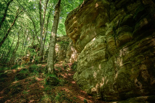 Великі Скельні Утворення Лісі Мультерталь Люксембурзі Вирубаними Деревами Лісу Передньому — стокове фото