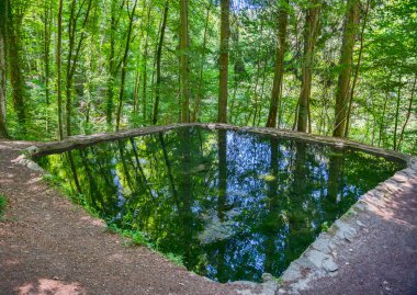 Lüksemburg 'daki Tufa kaynağı. Doğa parkında. Sudaki ağaçların yansımaları.