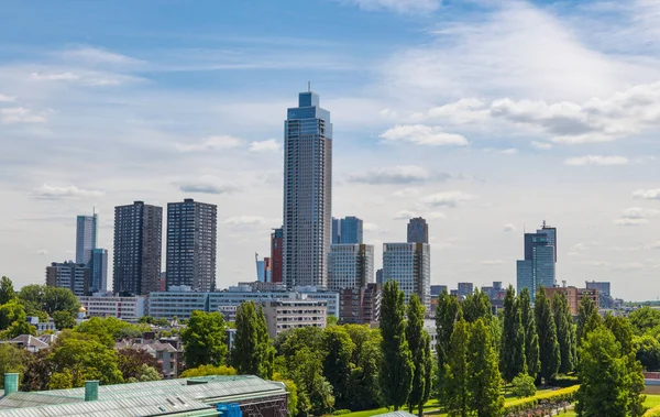 Hollanda Daki Rotterdam Şehrinin Ufuk Çizgisi Bir Sürü Yeşillik Zalhavenkulesi — Stok fotoğraf