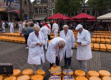 alkmaar,holland,26-07-2022:Testers tasting the quality of the Gouda cheese at the Alkmaar Cheese Market in the Netherlands. This large 400-year old cheese market located on the Waagplein weighing