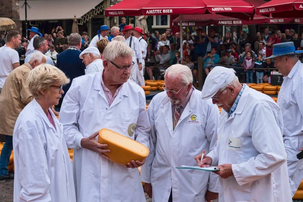 Alkmaar Holland 2022 Testers Tasting Quality Gouda Cheese Alkmaar Cheese — Stockfoto