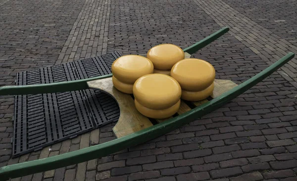 Large Cheeses Each Ready Carrier Transport Cheese Market Alkmaa Traditional — Foto Stock