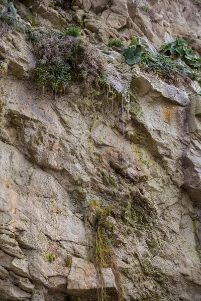 Fond Dans Nature Avec Eau Coule Des Rochers France — Photo