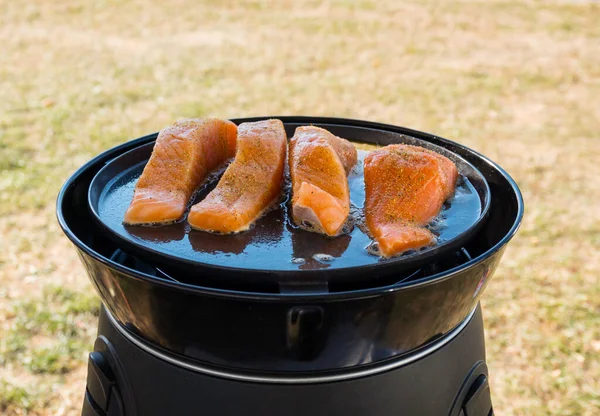 Frischer Lachsfisch Auf Einem Grill Freien Auf Dem Campingplatz — Stockfoto