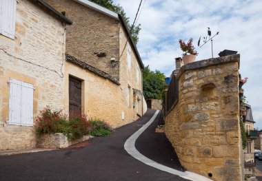 Dordogne 'daki Fransız köyü Montignac' ın dik yamaçlarında kireçtaşı evler ve kapının önünde bitkiler var.