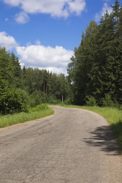 De weg door het bos. — Stockfoto