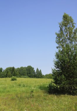 çayır ahşap eşiğinde.