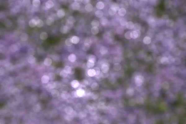 Abstract violet background. — Stock Photo, Image