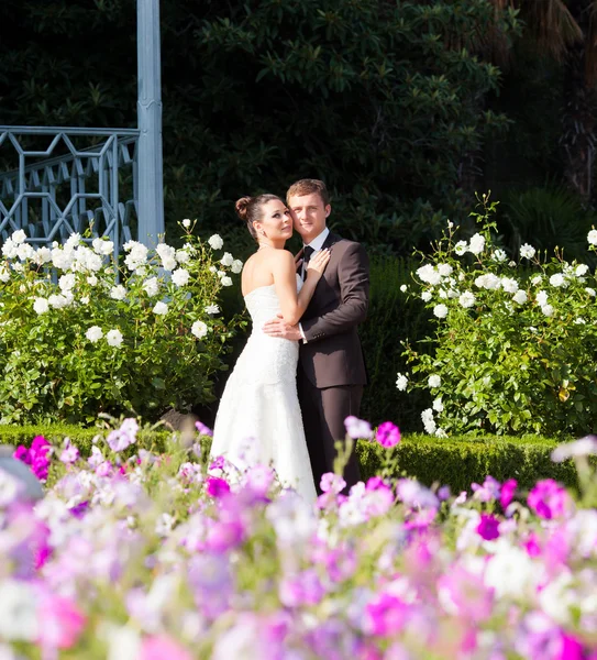 Bride and groom — Stock Photo, Image