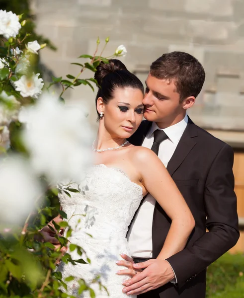 Bride and groom — Stock Photo, Image