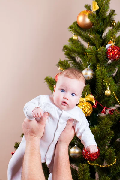 Baby near christmas pine Royalty Free Stock Images