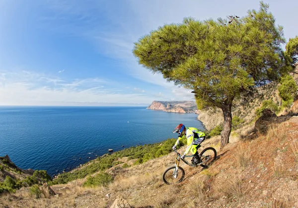 Dağ bisikleti rider — Stok fotoğraf