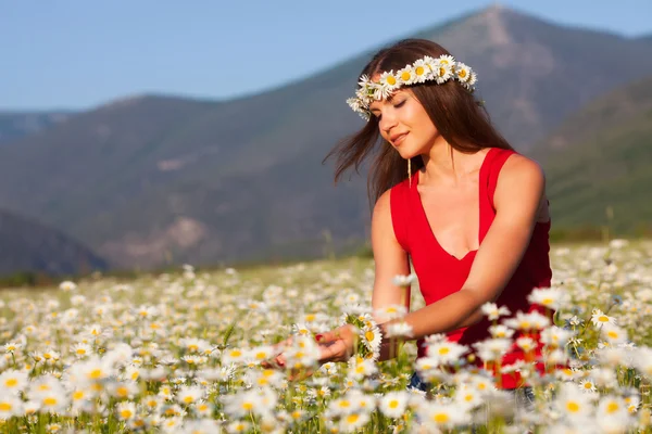 Girl on the meadow — Stock Photo, Image