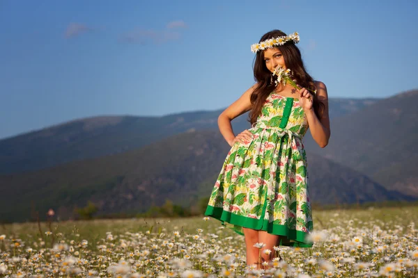 Girl on the meadow — Stock Photo, Image