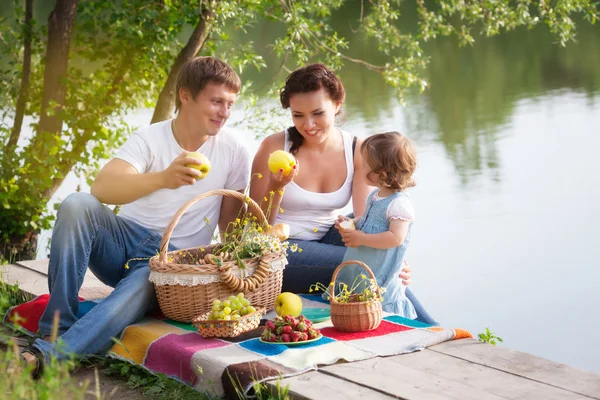 Familie beim Picknick — Stockfoto