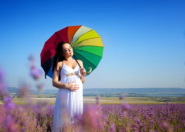 Mulher grávida no campo de lavanda — Fotografia de Stock