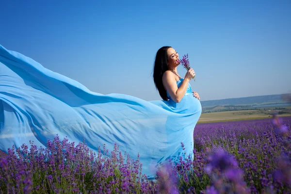 Těhotná žena na levandule pole — Stock fotografie