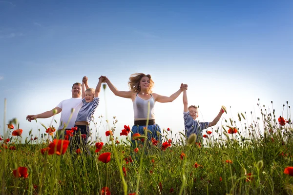 Aile üzerinde haşhaş çayır