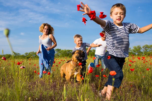 Famille sur la prairie de pavot Photo De Stock