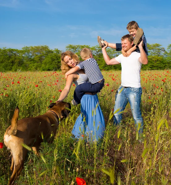 Familie spielt auf der Wiese — Stockfoto