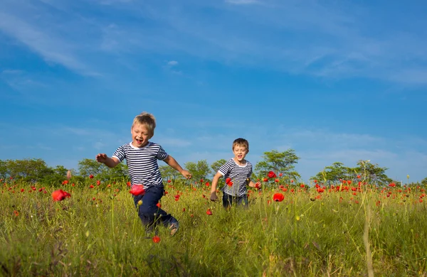 Мальчики играют на лугу — стоковое фото