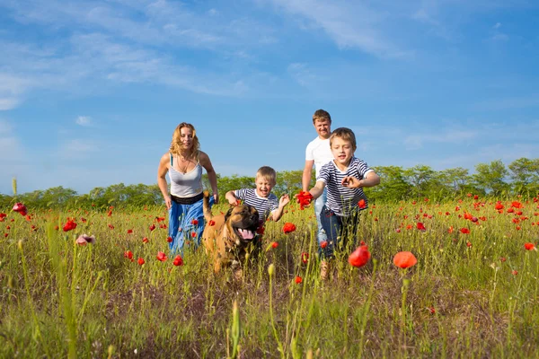 Família brincando no prado — Fotografia de Stock