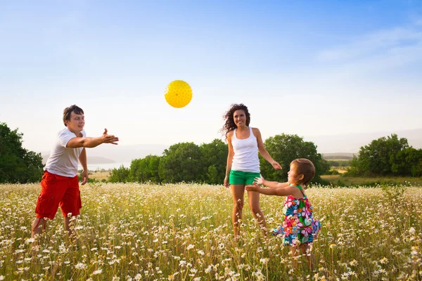 Familia en el prado — Foto de Stock