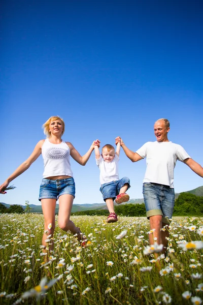 Familie op het weiland — Stockfoto