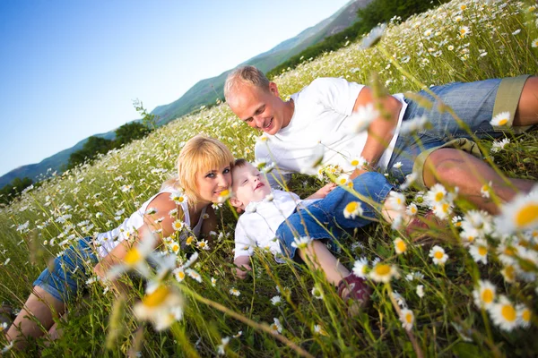 Familj på ängen — Stockfoto