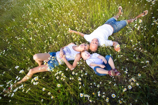 Familia en el prado —  Fotos de Stock