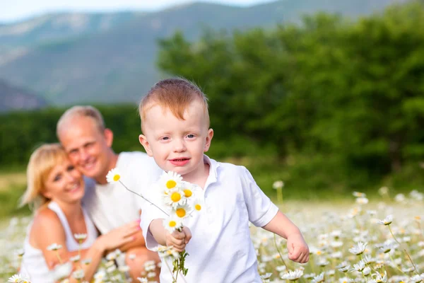 Familie op het weiland — Stockfoto