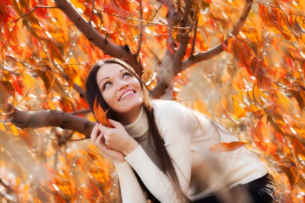 Lány az őszi kertben — Stock Fotó