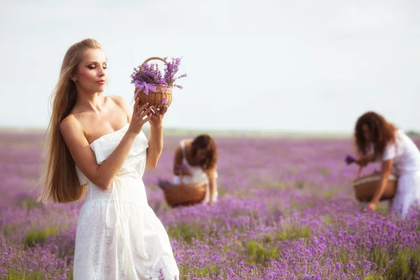 Menina no campo de lavanda — Fotografia de Stock