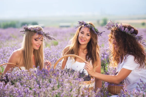 Chica en el campo de lavanda — Foto de Stock