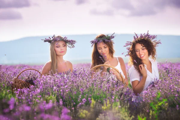 Meisje op het Lavendel veld — Stockfoto