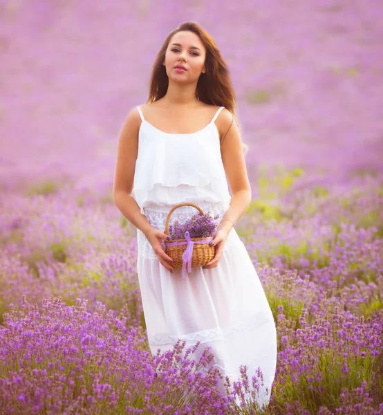 Ragazza sul campo di lavanda — Foto Stock