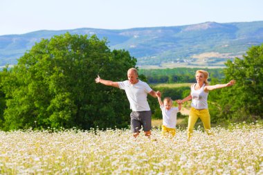 Çayırdaki aile