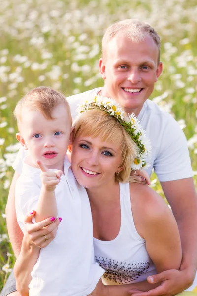 Familie auf der Wiese — Stockfoto