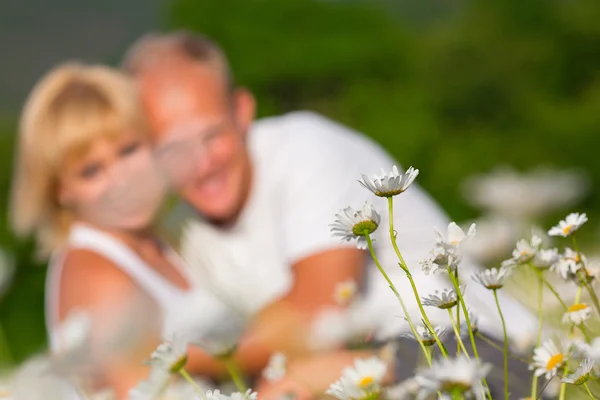 Casal no prado — Fotografia de Stock